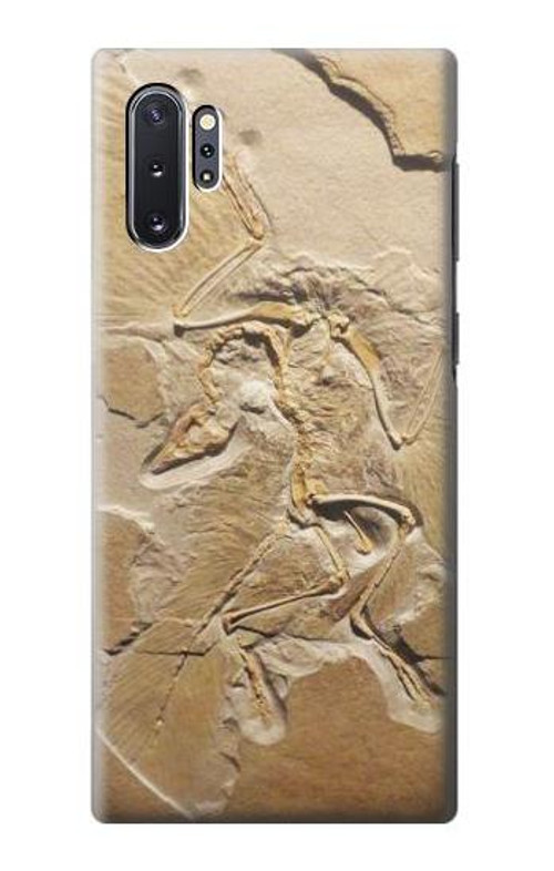 S0380 Dinosaur Fossil Case Cover Custodia per Samsung Galaxy Note 10 Plus