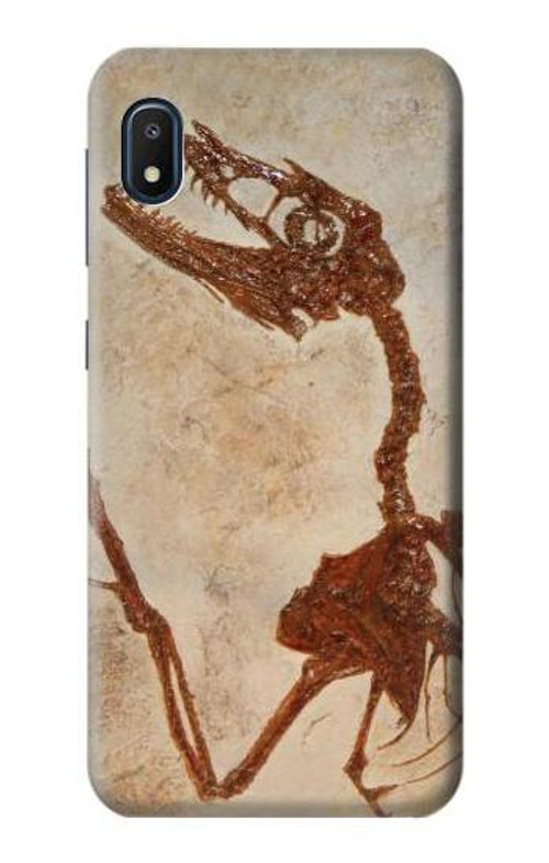 S0379 Dinosaur Fossil Case Cover Custodia per Samsung Galaxy A10e