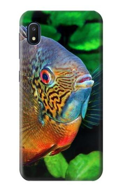 S1812 Cichlid Fish Case Cover Custodia per Samsung Galaxy A10e