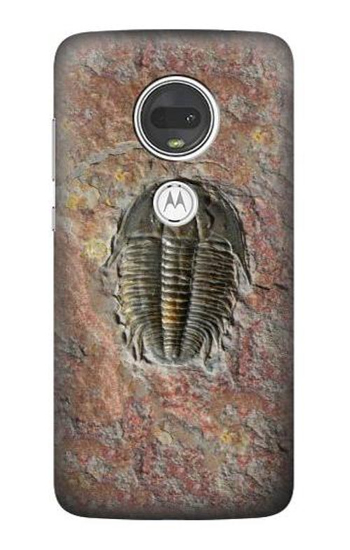 S1454 Trilobite Fossil Case Cover Custodia per Motorola Moto G7, Moto G7 Plus S1454 Trilobite Fossil Case Cover Custodia per Motorola Moto G7, Moto G7 Plus