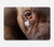 S0519 PitBull Face Case Cover Custodia per MacBook Pro 16″ - A2141