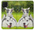 S3795 Grumpy Kitten Cat Playful Siberian Husky Dog Paint Case Cover Custodia per Samsung Galaxy M22