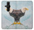 S3843 Bald Eagle On Ice Case Cover Custodia per Sony Xperia Pro-I