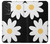 S2315 Daisy White Flowers Case Cover Custodia per Samsung Galaxy A53 5G S2315 Daisy White Flowers Case Cover Custodia per Samsung Galaxy A53 5G