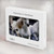 S0246 White Horse Case Cover Custodia per MacBook Air 13″ (2022,2024) - A2681, A3113