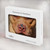 S2903 American Pitbull Dog Case Cover Custodia per MacBook Air 13″ (2022,2025) - A2681, A3113, A3240