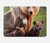 S3558 Bear Family Case Cover Custodia per MacBook Air 13″ (2022,2025) - A2681, A3113, A3240