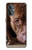 S0519 PitBull Face Case Cover Custodia per OnePlus Nord N20 5G
