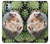 S3863 Pygmy Hedgehog Dwarf Hedgehog Paint Case Cover Custodia per Nokia G11, G21