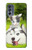 S3795 Kitten Cat Playful Siberian Husky Dog Paint Case Cover Custodia per Motorola Moto G62 5G
