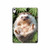 S3863 Pygmy Hedgehog Dwarf Hedgehog Paint Case Cover Custodia per iPad 10.9 (2022)