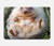 S3863 Pygmy Hedgehog Dwarf Hedgehog Paint Case Cover Custodia per MacBook Air 15″ (2023,2024,2025) - A2941, A3114, A3241