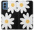 S2315 Daisy White Flowers Case Cover Custodia per Motorola Moto G Play 4G (2024) S2315 Daisy White Flowers Case Cover Custodia per Motorola Moto G Play 4G (2024)
