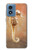 S2674 Seahorse Skeleton Fossil Case Cover Custodia per Motorola Moto G Play 4G (2024)