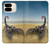 S0150 Desert Scorpion Case Cover Custodia per Google Pixel 9 Pro Fold