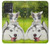 S3795 Kitten Cat Playful Siberian Husky Dog Paint Case Cover Custodia per Motorola Edge 40 Neo