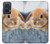 S0242 Cute Rabbit Case Cover Custodia per Motorola Edge 50 Fusion