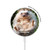 S3863 Pygmy Hedgehog Dwarf Hedgehog Paint Caricabatterie wireless magnetico con MagSafe 15W per iPhone 16 15 14 13 12