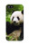 S1073 Panda Enjoy Eating Case Cover Custodia per iPhone 5C