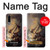 S1091 Rembrandt Christ in The Storm Case Cover Custodia per Huawei P30