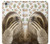 S3559 Sloth Pattern Case Cover Custodia per iPhone 6 Plus, iPhone 6s Plus