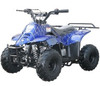 Coolster 3050C A-Tumbleweed-Hd Youth Atv, Honda Clone, 110Cc Air Cooled, Single Cylinder, 4-Stroke Assembled Version ATV