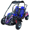 TrailMaster Blazer 200R-A, Air Cooled 4-Stroke, Single Cylinder Go Kart Assembled Version