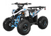 Trailmaster R125 Atv, 125Cc 4-Stroke, Air Cooled, Single Cylinder Assembled Version