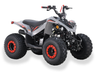 Ice bear GRZ125-D 125cc EFI Automatic ATV – Air-Cooled Utility Four Wheeler