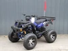 RPS Desert 200 Alloy Rim Utility ATV Electric Kick Start