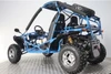 Dongfang 200cc (DF200GKA-25) Adult Go Kart, Deluxe DF GKA With Auto Transmission, Large aluminum wheel