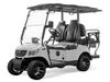Massimo MVS 2X Lithium Golf Cart – 48V 5kW Electric