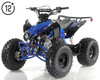 Apollo BLAZER 9 125cc ATV, 8" TIRE, Single Cylinder, Air Cooled, 4 Stroke