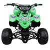 Coolster 3050B 110cc ATV Sport ATV With Bigger 16" Tires, Four-Stroke, Air-Cooled