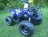 Coolster 3125-XR8-U Ultimate Kodiak (125CC Fully Automatic Mid Size, 4-Stroke, Air Cool , Fully Automatic ATV