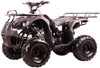 Coolster ATV-3050D Kodiak-Hd 110CC Youth Atv - Big 16" Tires, 110CC Air Cooled, Single Cylinder, 4-Stroke