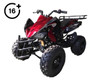 Vitacci Cougar Sport 125CC ATV, Air Cooled, 4-Stroke, 1-Cylinder, Automatic