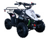 Vitacci HAWK 6 110cc ATV, Single Cylinder, 4 Stroke, Air-Cooled, Foot Brake