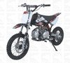 Ice Bear Roost (PAD125-1) 125cc Dirt Bike, 4-speeds, Kick Start