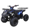 Taotao ATA 125D ATV 107cc, Air Cooled, 4-Stroke, 1-Cylinder, Automatic,- Fully Assembled and Tested - Blue