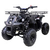 Taotao ATA 125D ATV 107cc, Air Cooled, 4-Stroke, 1-Cylinder, Automatic,- Fully Assembled and Tested - Spider Black