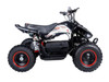 TAOTAO E1-500 500 Watt 36 Volt Electric Four Wheeler ATV