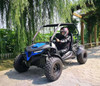 Trailmaster Cheetah 200 Go kart, Upgraded rear end, high back seats, Full Welded Roll Cage