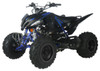 Vitacci Pentora 200 EFI Full Size 176cc ATV, Fully Automatic Air-Cooled SOHC 4-Stroke - Fully Assembled and Tested