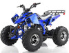 New Apollo Sniper 125cc DLX ATV, Full-Automatic With Reverse - Fully Assembled And Tested