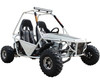 Vitacci Batman-200cc Deluxe, 177.3cc 4-Stroke, Single Cylinder, Fully Auto With Reverse - Fully Assembled and Tested - WHITE