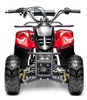 Made in Vietnam Goldenwing New Rex ATV, 110cc Air Cooled, 4-Stroke, 1-Cylinder, Automatic