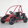 DongFang (DF80GKS) Kids Speed Racer Gokart 80GKS, Full Roll Cage, Rear Suspension, Disc Brake