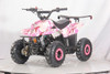 DongFang 110cc (DF110AVA) Gas ATV With 6-inch Wheel, Electric Start, Remote Shut Off Switch