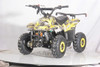 DongFang 110cc (DF110AVA) Gas ATV With 6-inch Wheel, Electric Start, Remote Shut Off Switch